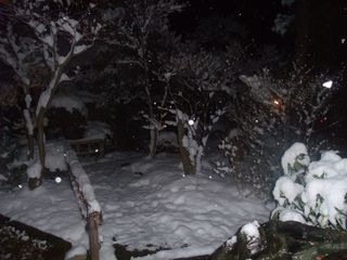 DSCF0086