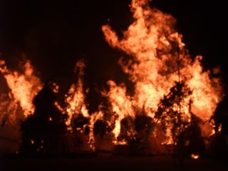DSCF0217